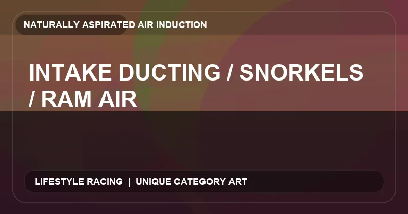 Intake Ducting / Snorkels / Ram Air